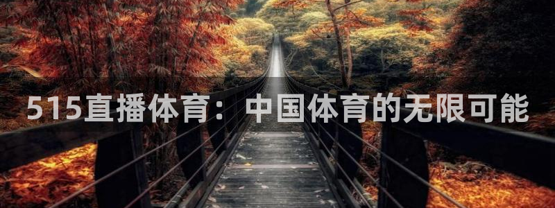 515直播体育：中国体育的无限可能