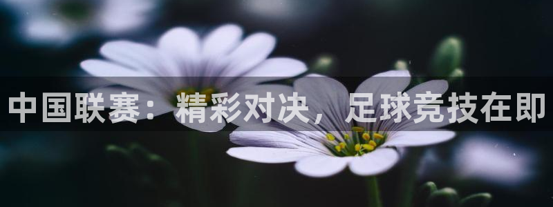 中国联赛：精彩对决，足球竞技在即
