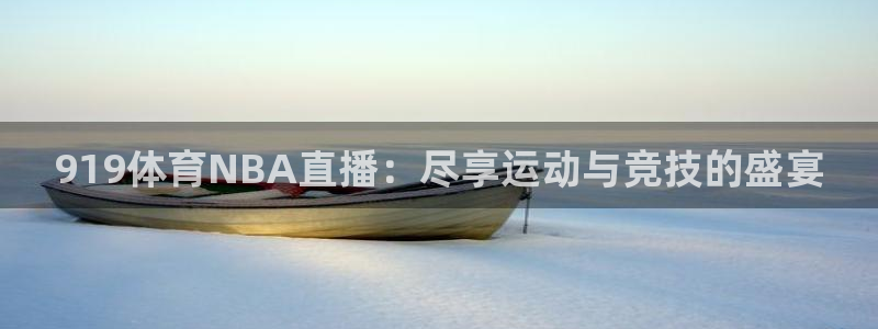 919体育NBA直播：尽享运动与竞技的盛宴