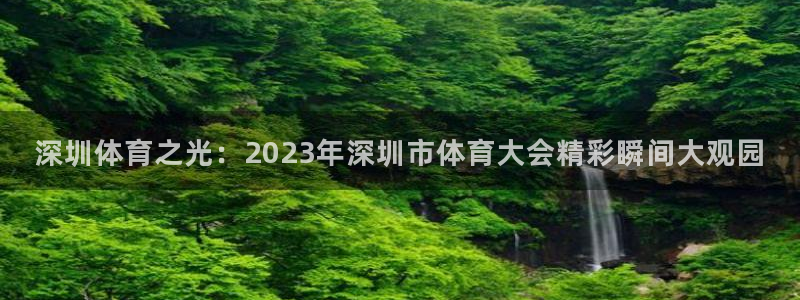 深圳体育之光：2023年深圳市体育大会精彩瞬间大观园