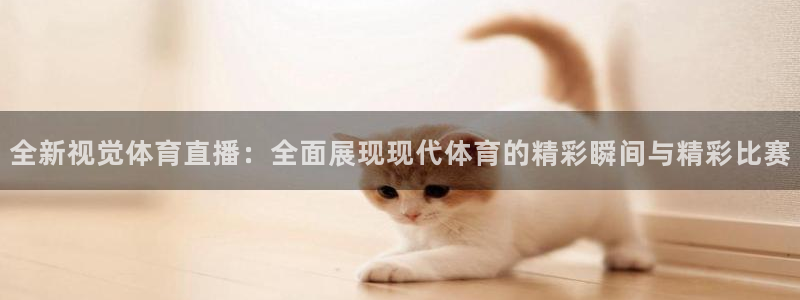 全新视觉体育直播：全面展现现代体育的精彩瞬间与精彩比赛