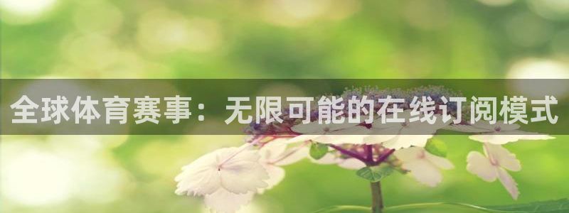 全球体育赛事：无限可能的在线订阅模式