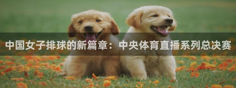 中国女子排球的新篇章：中央体育直播系列总决赛
