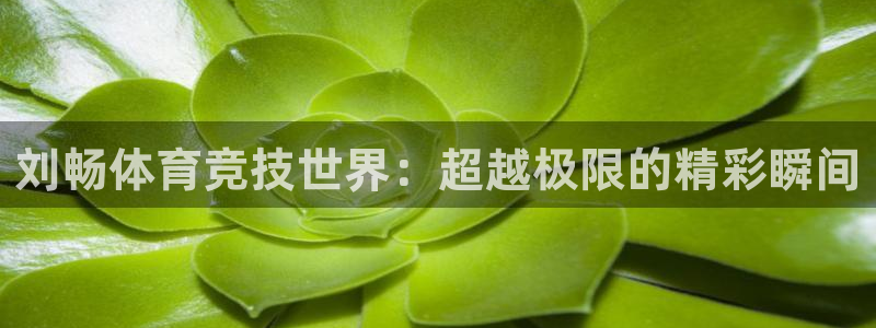 刘畅体育竞技世界：超越极限的精彩瞬间