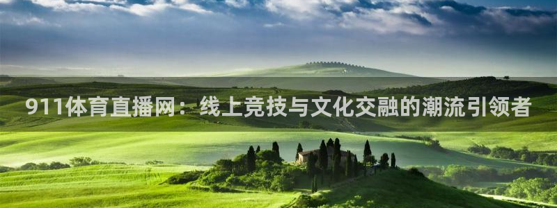 911体育直播网：线上竞技与文化交融的潮流引领者
