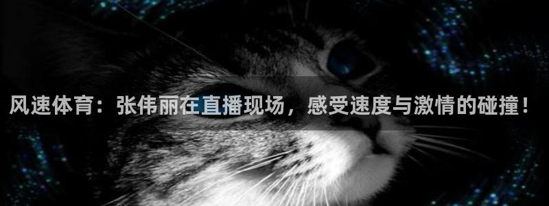 风速体育：张伟丽在直播现场，感受速度与激情的碰撞！