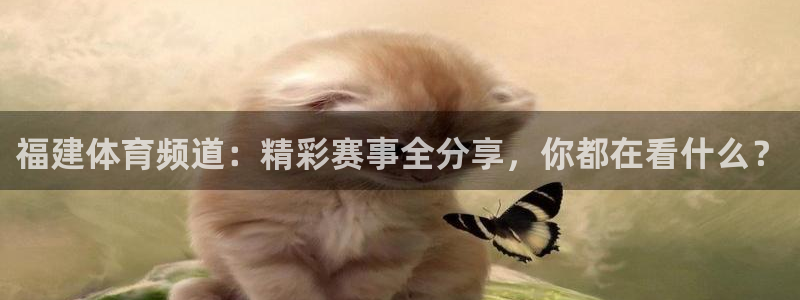福建体育频道：精彩赛事全分享，你都在看什么？