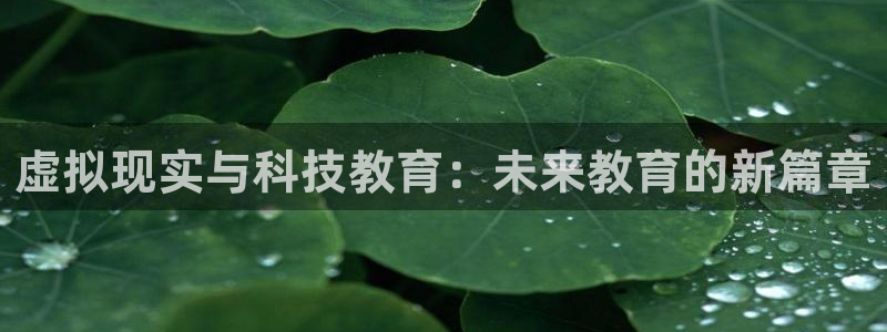 虚拟现实与科技教育：未来教育的新篇章