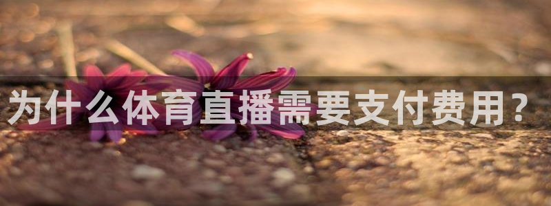 为什么体育直播需要支付费用？