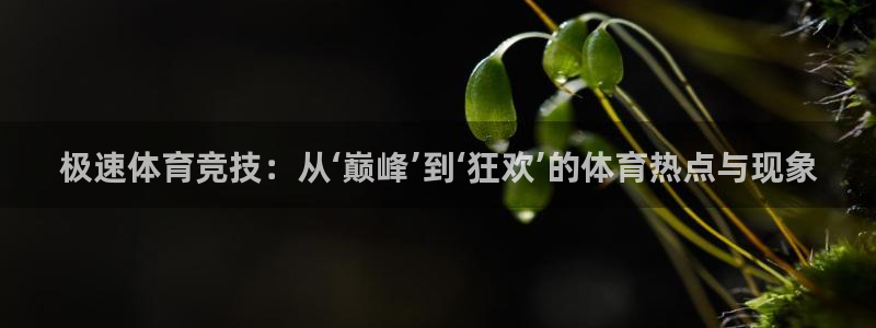 极速体育竞技：从‘巅峰’到‘狂欢’的体育热点与现象