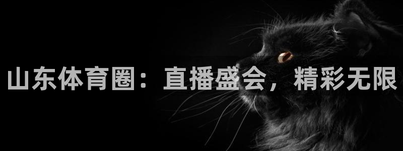 山东体育圈：直播盛会，精彩无限