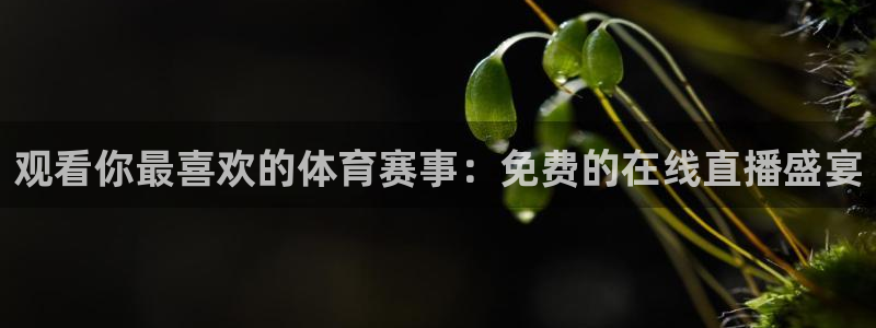 观看你最喜欢的体育赛事：免费的在线直播盛宴