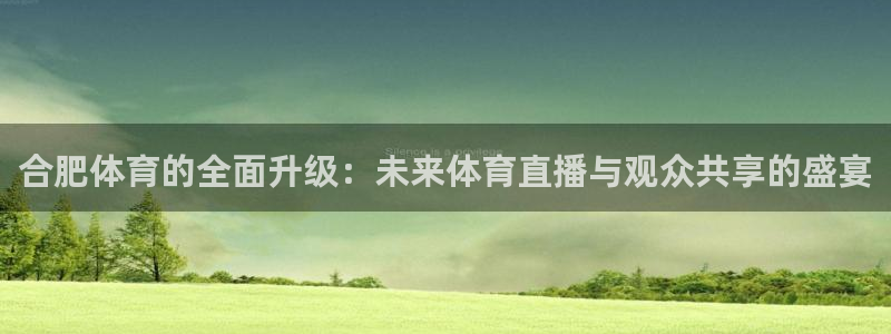 合肥体育的全面升级：未来体育直播与观众共享的盛宴