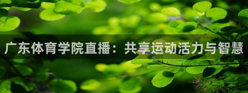 广东体育学院直播：共享运动活力与智慧