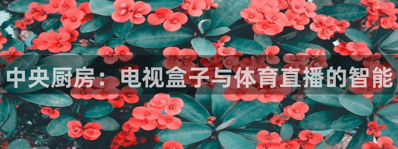 中央厨房：电视盒子与体育直播的智能