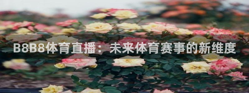 B8B8体育直播：未来体育赛事的新维度