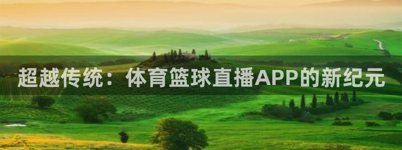 超越传统：体育篮球直播APP的新纪元