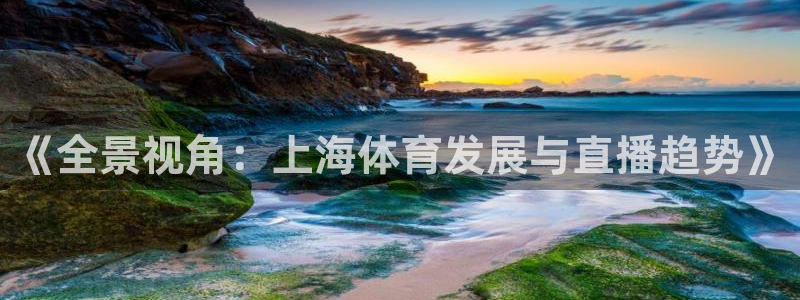 《全景视角：上海体育发展与直播趋势》