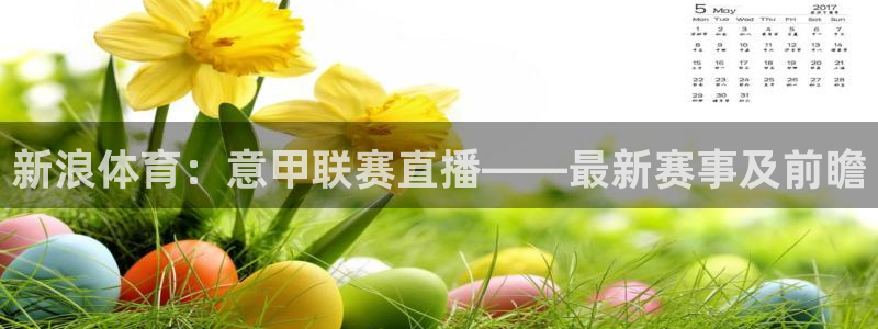 新浪体育：意甲联赛直播——最新赛事及前瞻
