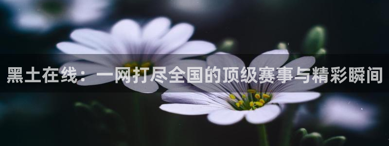 黑土在线：一网打尽全国的顶级赛事与精彩瞬间