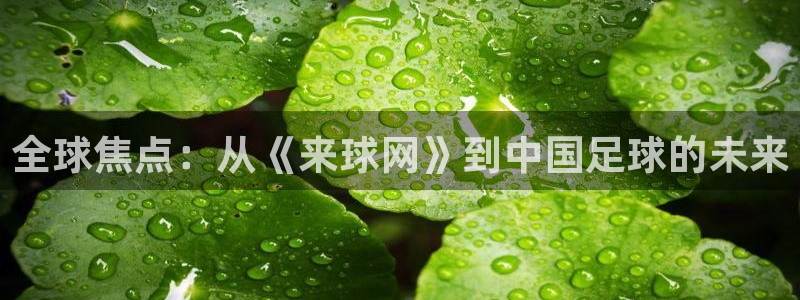 全球焦点：从《来球网》到中国足球的未来