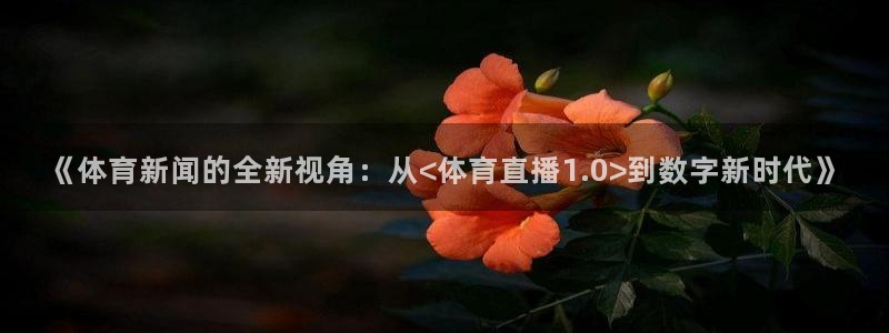 《体育新闻的全新视角：从<体育直播1.0>到数字新时代》