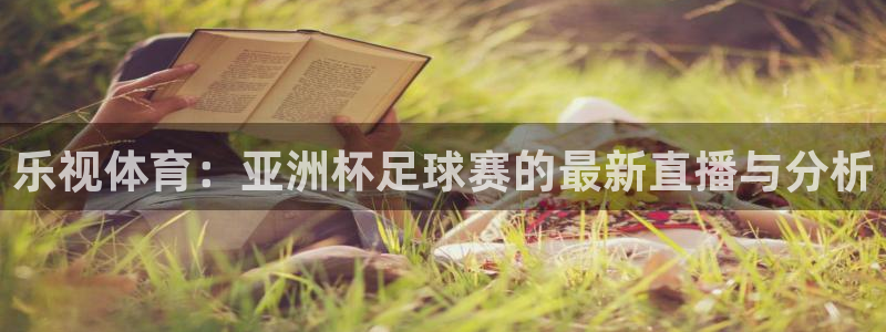 乐视体育：亚洲杯足球赛的最新直播与分析
