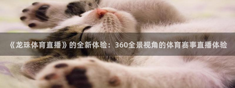 《龙珠体育直播》的全新体验：360全景视角的体育赛事直播体验