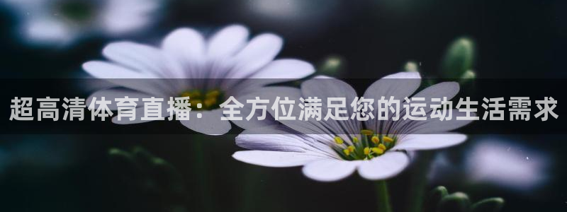超高清体育直播：全方位满足您的运动生活需求