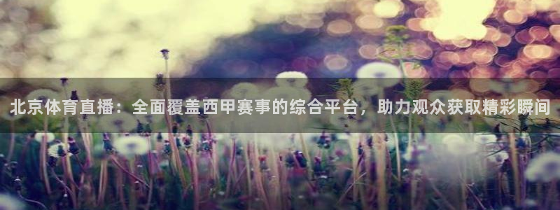 北京体育直播：全面覆盖西甲赛事的综合平台，助力观众获取精彩瞬间