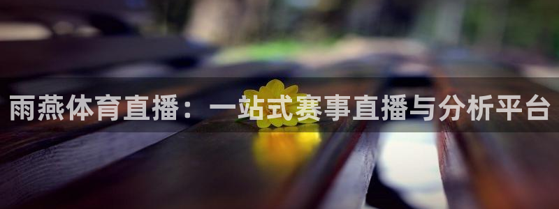 雨燕体育直播：一站式赛事直播与分析平台