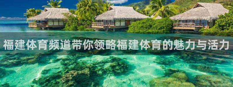 福建体育频道带你领略福建体育的魅力与活力