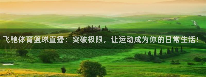 飞驰体育篮球直播：突破极限，让运动成为你的日常生活！