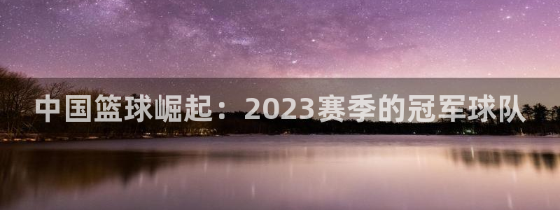 中国篮球崛起：2023赛季的冠军球队
