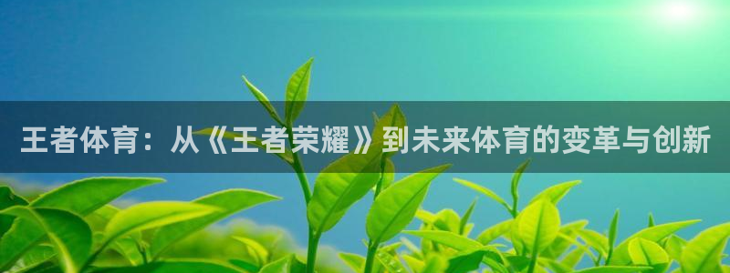 王者体育：从《王者荣耀》到未来体育的变革与创新