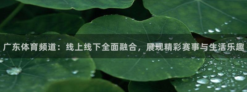 广东体育频道：线上线下全面融合，展现精彩赛事与生活乐趣
