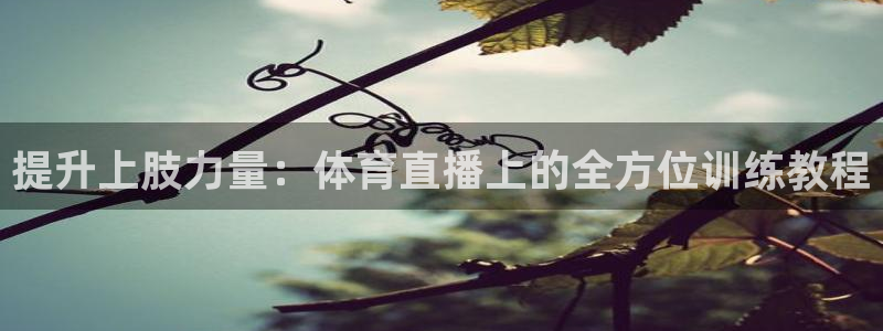 提升上肢力量：体育直播上的全方位训练教程