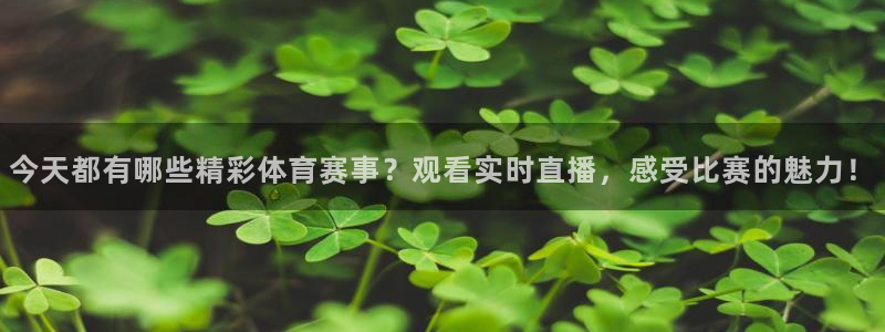 今天都有哪些精彩体育赛事？观看实时直播，感受比赛的魅力！