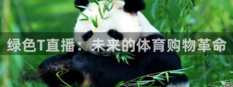 绿色T直播：未来的体育购物革命