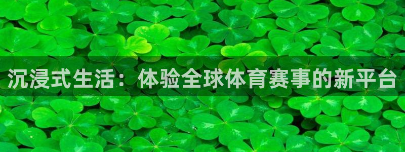 沉浸式生活：体验全球体育赛事的新平台
