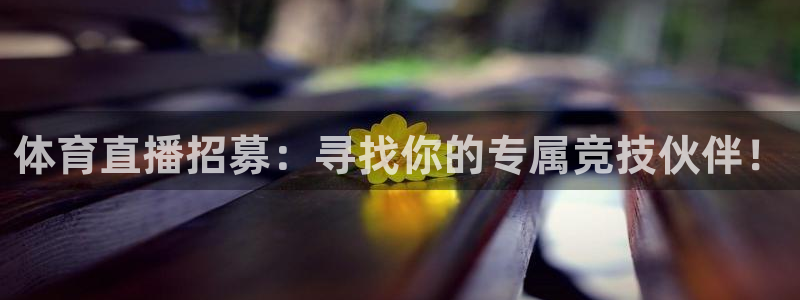 体育直播招募：寻找你的专属竞技伙伴！
