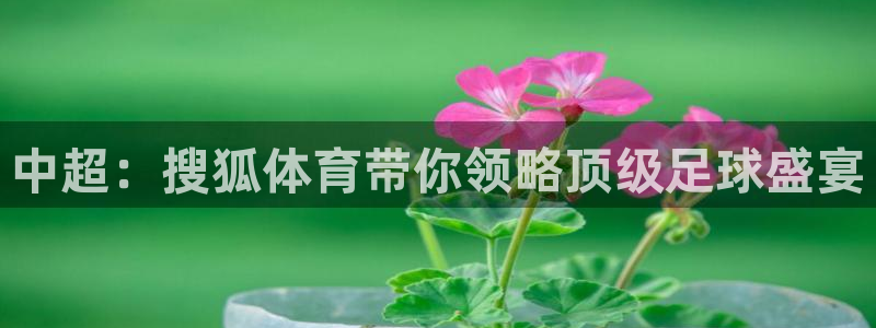 中超：搜狐体育带你领略顶级足球盛宴