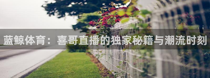 蓝鲸体育：喜哥直播的独家秘籍与潮流时刻