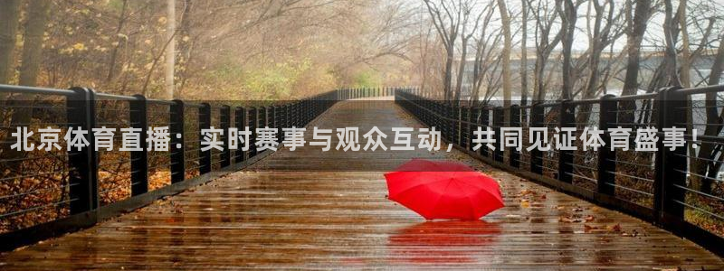 北京体育直播：实时赛事与观众互动，共同见证体育盛事！
