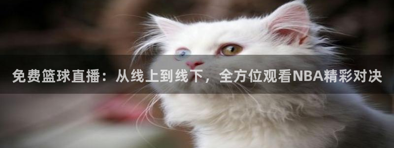 免费篮球直播：从线上到线下，全方位观看NBA精彩对决