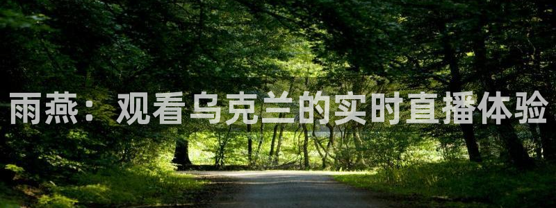 雨燕：观看乌克兰的实时直播体验
