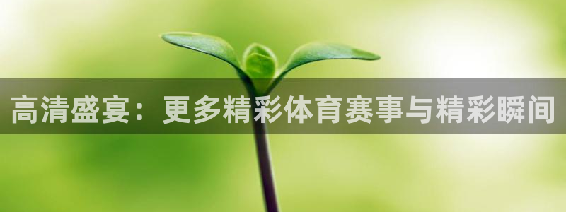 高清盛宴：更多精彩体育赛事与精彩瞬间