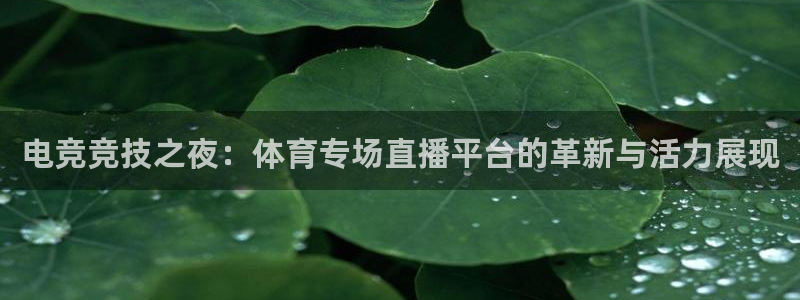 电竞竞技之夜：体育专场直播平台的革新与活力展现