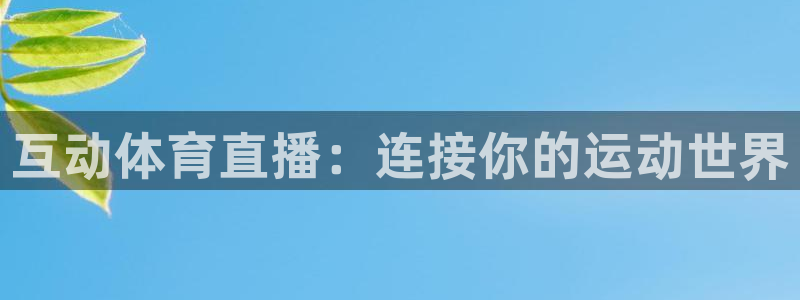 互动体育直播：连接你的运动世界