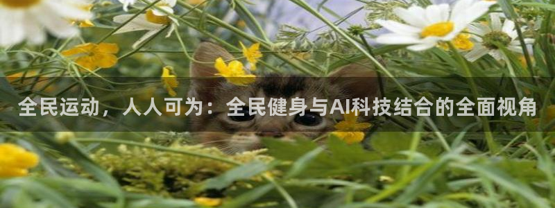 全民运动，人人可为：全民健身与AI科技结合的全面视角
